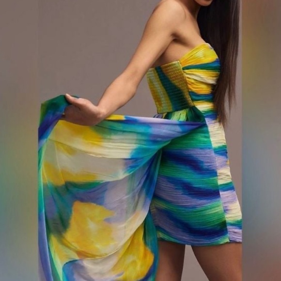 NWT Vineet Bahl Blurred Sheer Mini Dress with Train, sz L - Picture 3 of 17